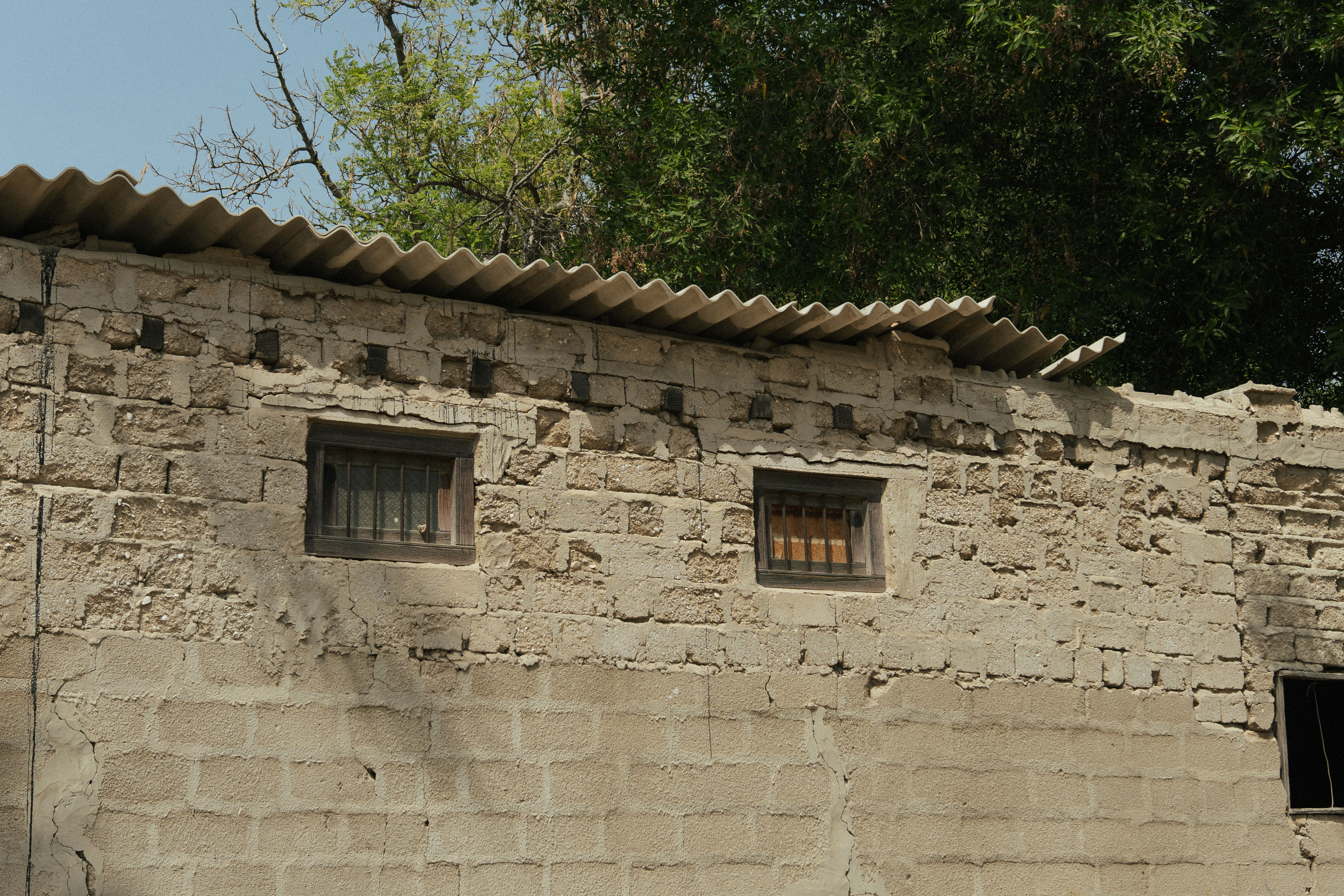DXBDW25_UC_Fieldwork2.jpg