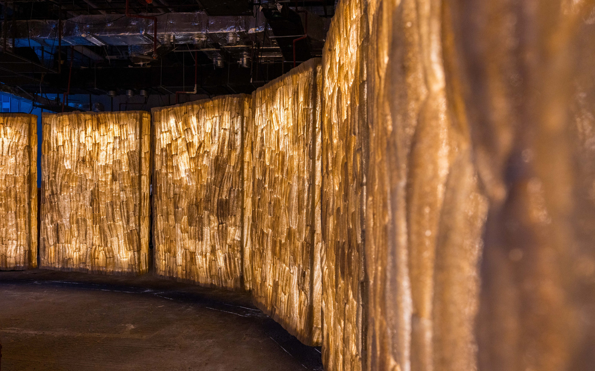 DXB.DW_The Future Will be Sown .png